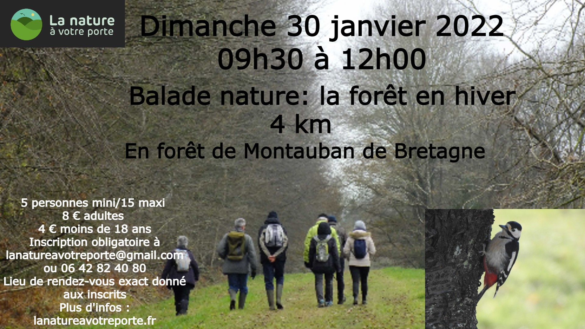Dimanche 30 janvier 2022 à Montauban de Bretagne (35) – La nature à ...
